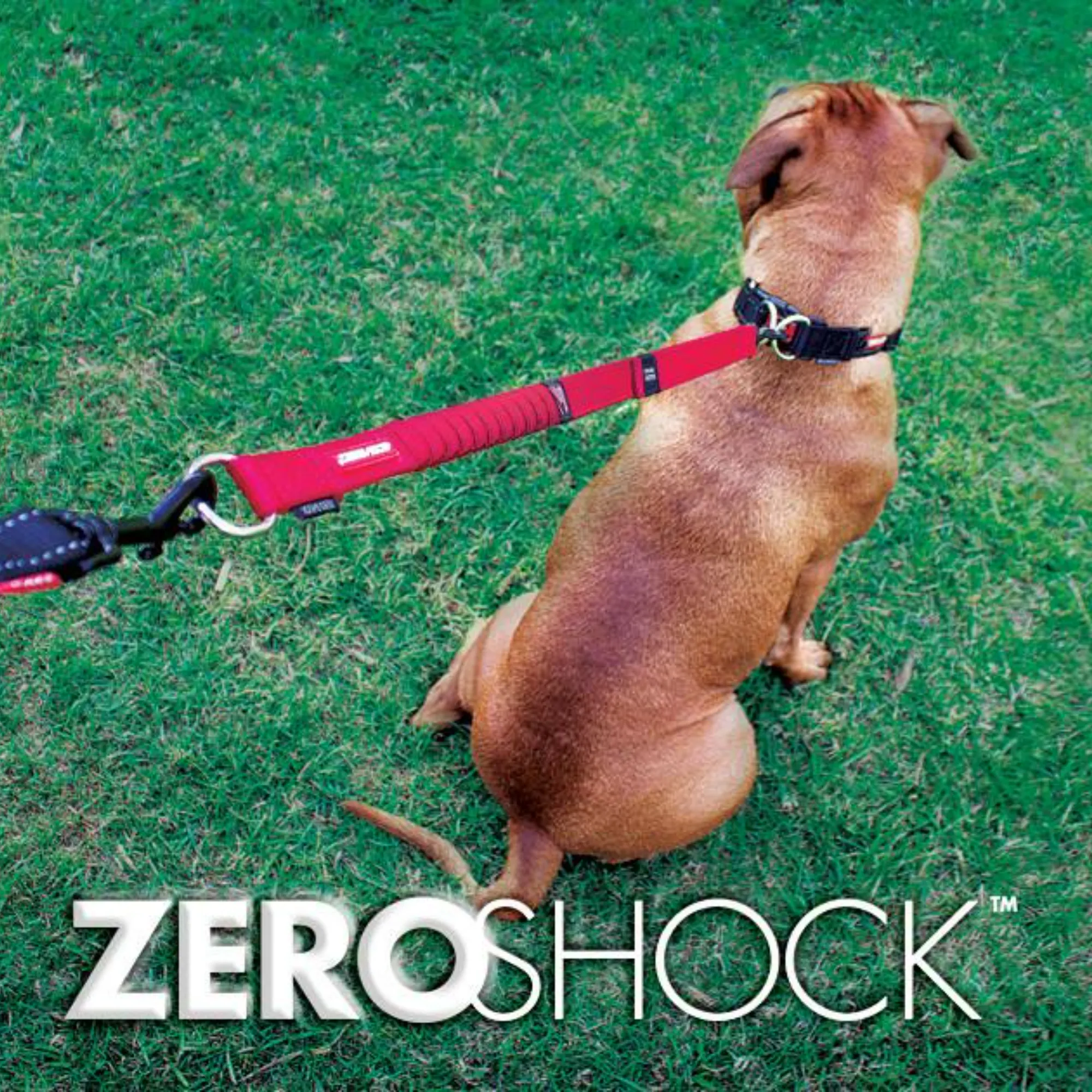 Zero Shock Extension